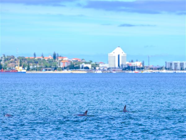 Bunbury (1/01/2017 - Credits: Tourism Western Australia)