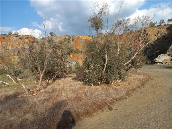 Statham's Quarry (11/12/2021 - Credits: Rachael Hawkins)