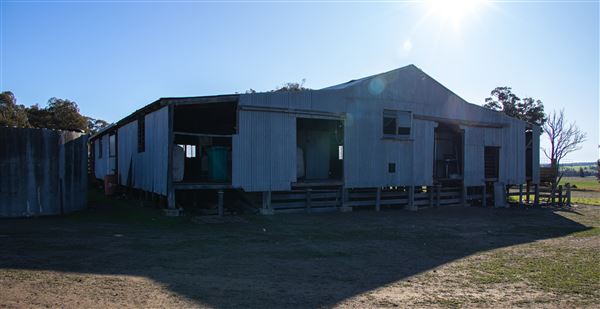 Greenhills farm buildings (Shearing shed, silos, general shed) - Shearing shed, silos, general shed (12/07/2022 - Credits: Kerryn Chia)
