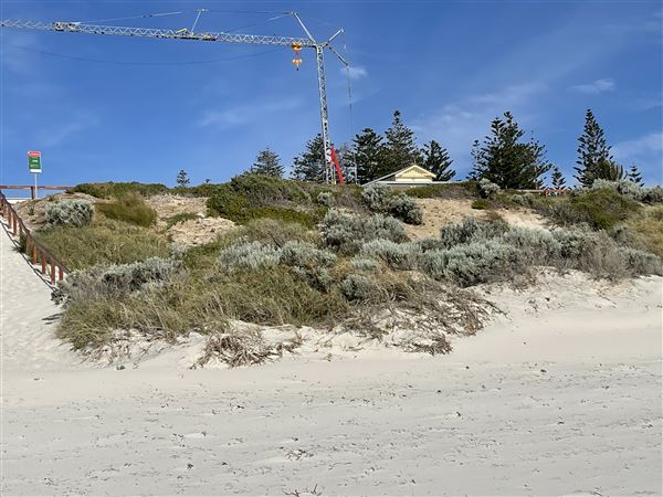 Dutch Inn Beach - Afternoon (7/12/2022 - Credits: Crystal Munitich McCallum)