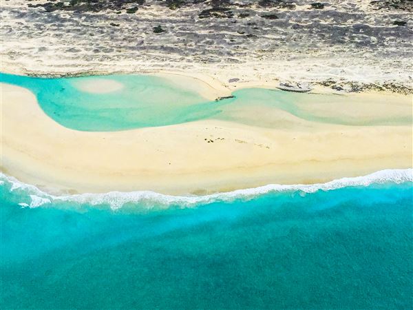 Coconut Wells (Goolarabooloo Millibinyarri) (28/02/2023 - Credits: Willie creek Pearls)