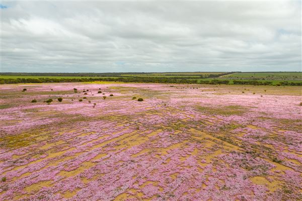 Mid West Region (19/10/2023 - Credits: Tourism Western Australia)
