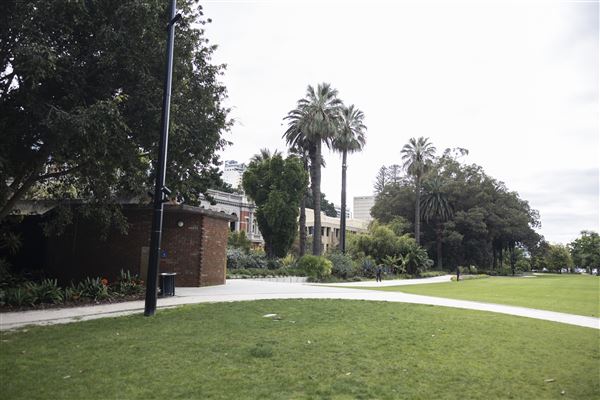 Supreme Court Gardens (18/10/2023 - Credits: Shea Walsh)