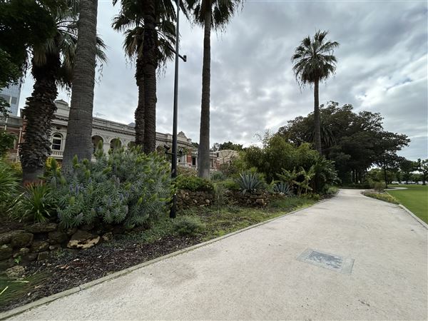 Supreme Court Gardens (18/10/2023 - Credits: Shea Walsh)