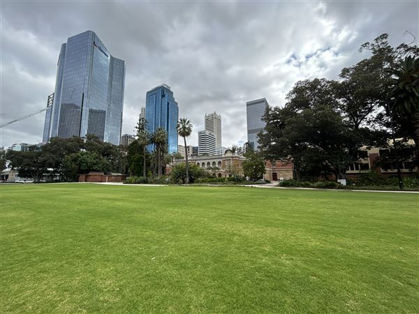 Supreme Court Gardens (18/10/2023 - Credits: Shea Walsh)