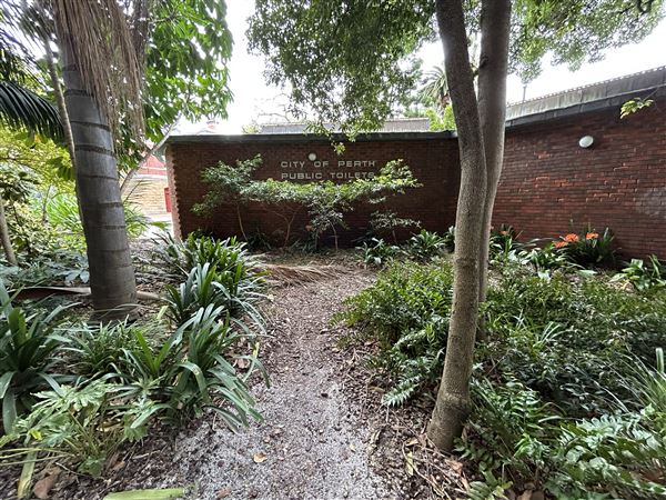 Supreme Court Gardens (18/10/2023 - Credits: Shea Walsh)