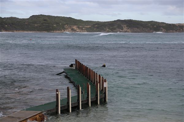 Gracetown (6/06/2023 - Credits: Aidan O'Bryan)