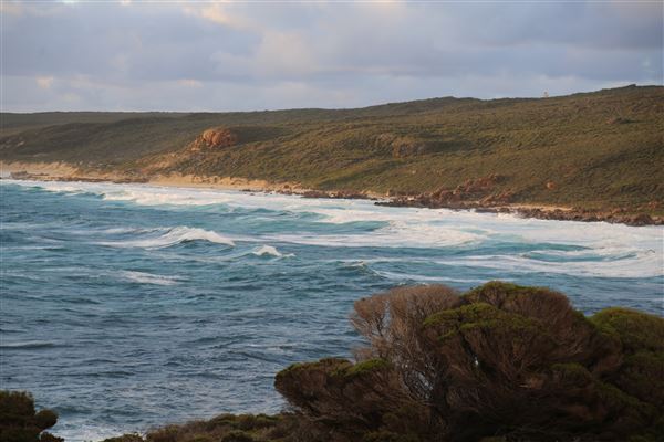 Cape Naturaliste - Sugar Loaf (6/06/2023 - Credits: Aidan O'Bryan)