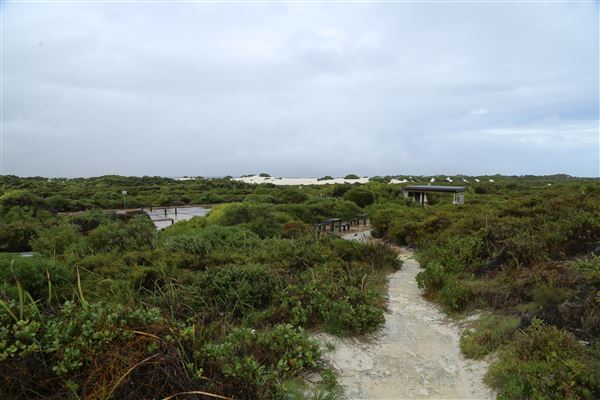 Hangover Bay (6/06/2023 - Credits: Aidan O'Bryan)
