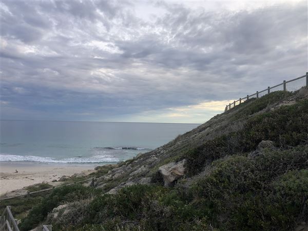Claytons Beach (6/06/2023 - Credits: Aidan O'Bryan)