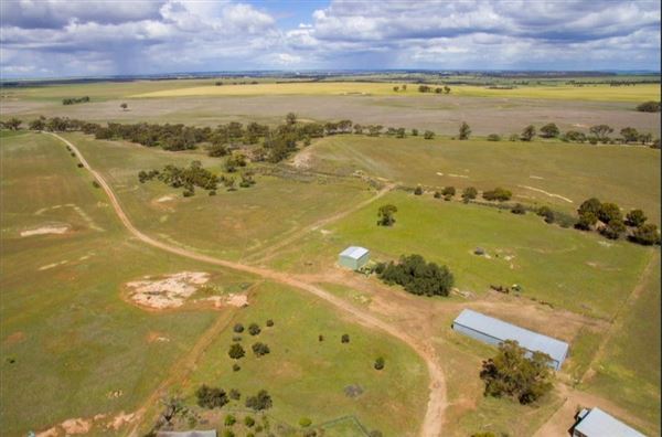 Northam (29/07/2024)