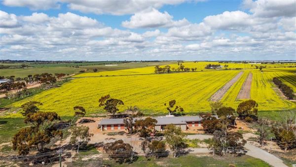 Merredin (30/07/2024)