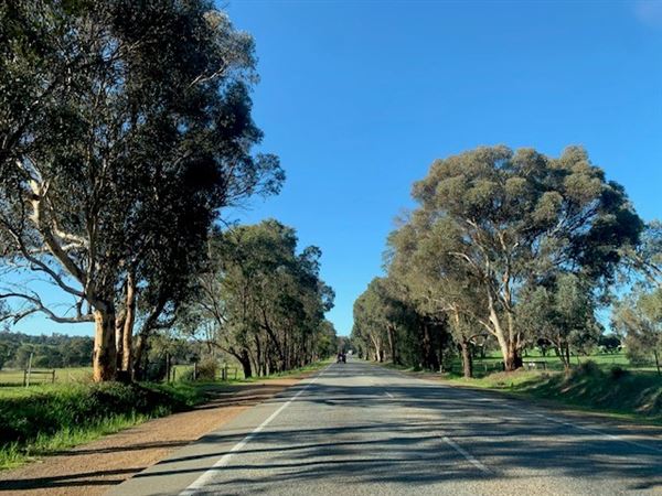 Bakers Hill (3/08/2024 - Credits: Gabrielle Cole)