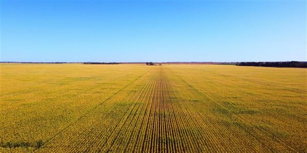 Wheatbelt Region (20/09/2024)