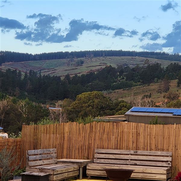 Nannup Cottage That Yellow Door (19/04/2024 - Credits: Collette Leeuwangh)