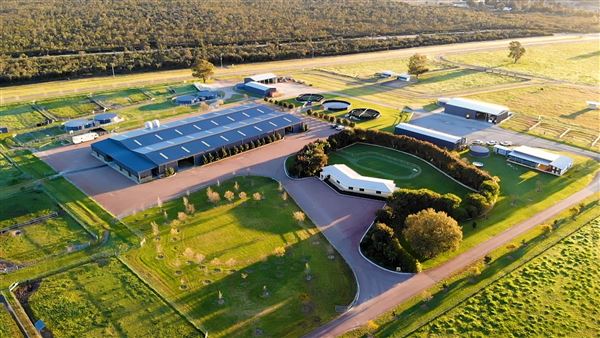 Gold Front Breeding & Racing (28/01/2025)