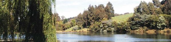 Nannup (13/02/2025)