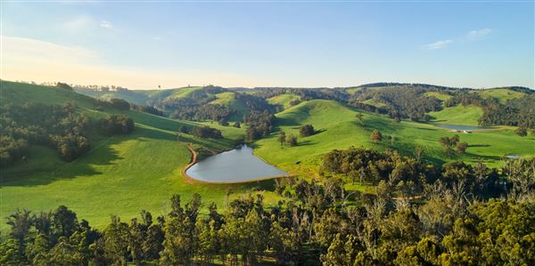 Nannup (13/02/2025)