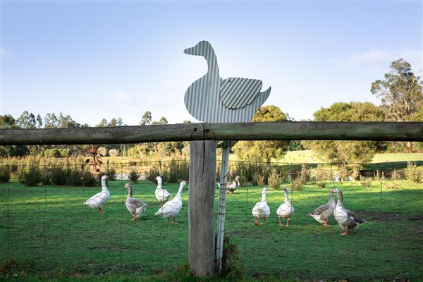 Loose Goose Chalets (17/02/2025 - Credits: Taken from website)