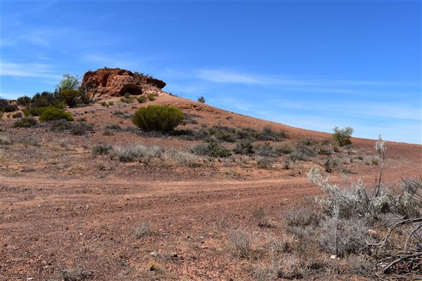 Coolgardie (18/02/2025)