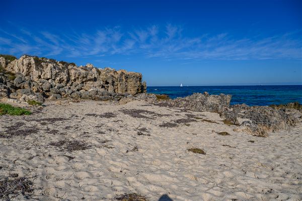 Bennion Beach (4/06/2025 - Credits: Xander Kabat)