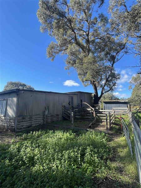Shearing Shed @ Duke's Vineyard (28/06/2025 - Credits: Sarah Date)