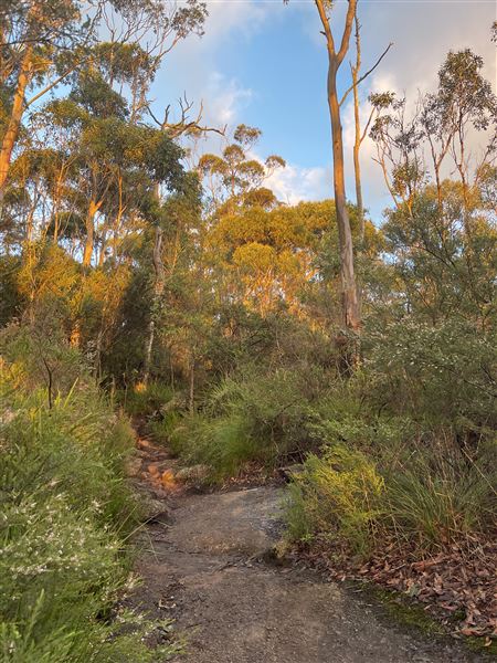 Porongorup National Park (4/07/2025 - Credits: Anika Fourie)