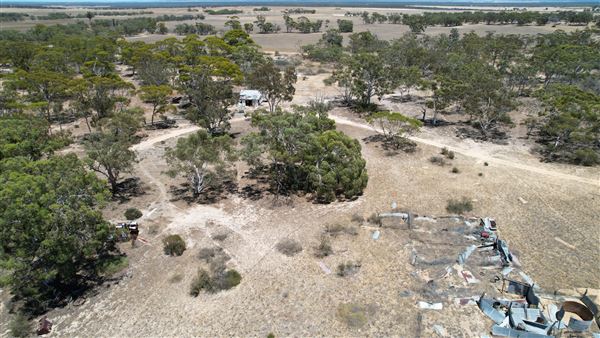 Coorow Farm (1/01/2025 - Credits: Chris Pryor, Tracy Izzard and Leonie Hull)