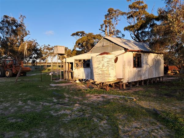 Coorow Farm (21/07/2025)