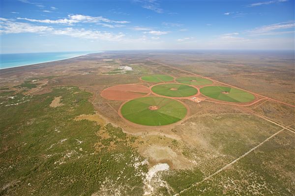 Pardoo Wagyu Station (30/07/2025)