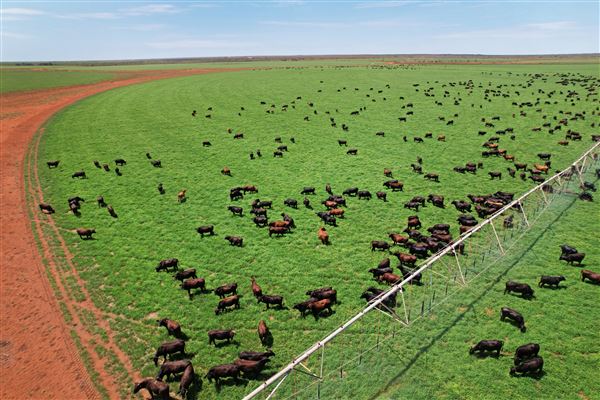 Pardoo Wagyu Station (30/07/2025)
