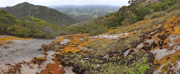 Porongorup National Park (12/12/2025)