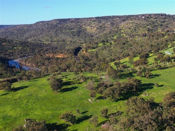 Brigadoon - Campresic Road (10/03/2026)