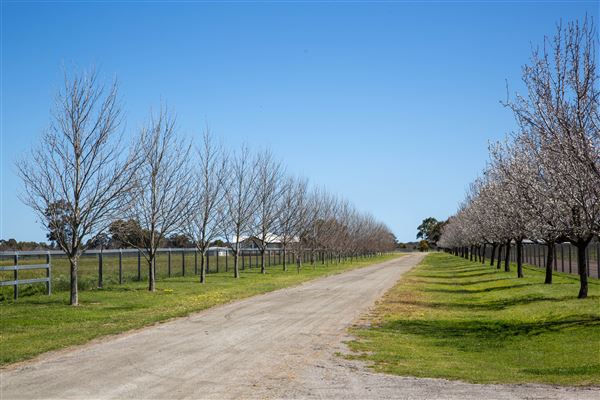 Gold Front Breeding & Racing (11/03/2026 - Credits: Louise Brady)