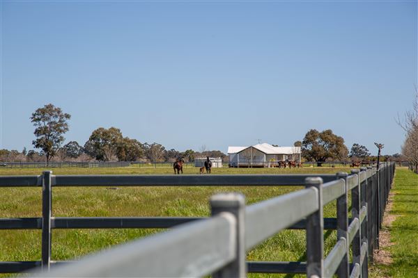 Gold Front Breeding & Racing (11/03/2026 - Credits: Louise Brady)