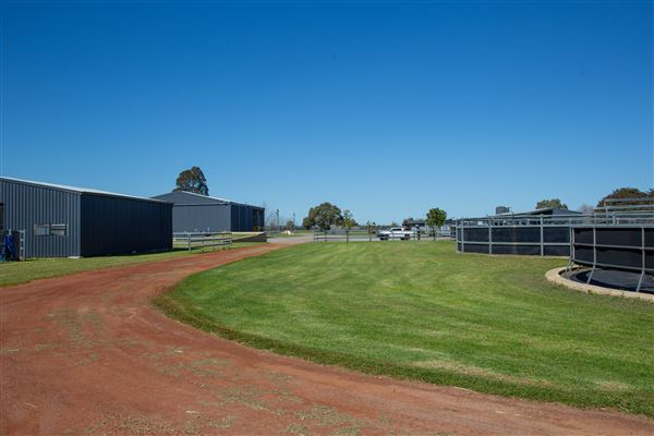 Gold Front Breeding & Racing (11/03/2026 - Credits: Louise Brady)