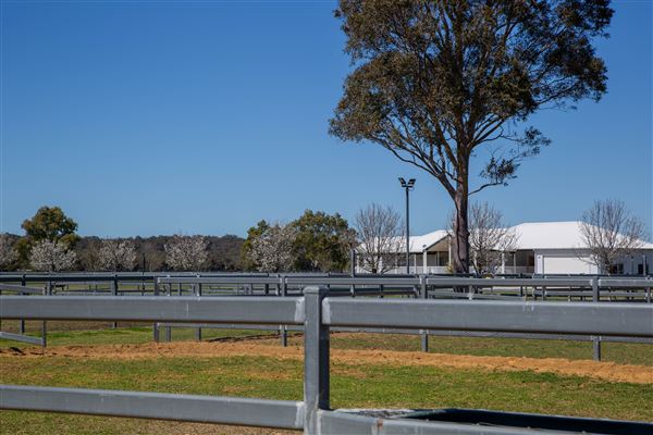 Gold Front Breeding & Racing (11/03/2026 - Credits: Louise Brady)