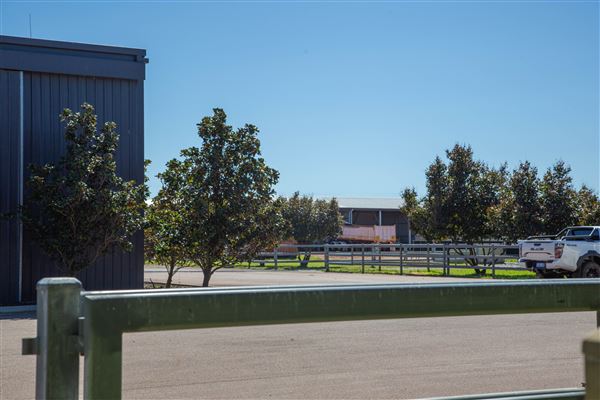 Gold Front Breeding & Racing (11/03/2026 - Credits: Louise Brady)