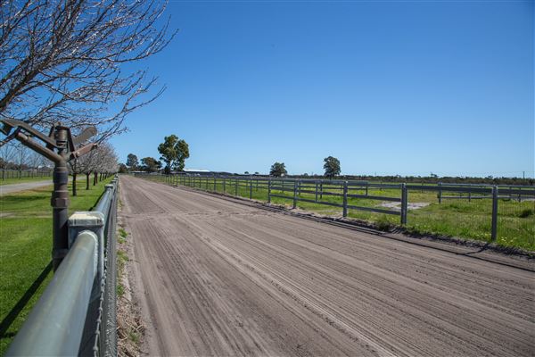 Gold Front Breeding & Racing (11/03/2026 - Credits: Louise Brady)