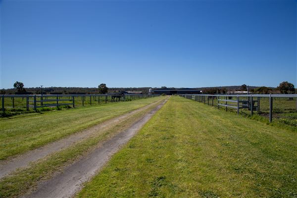 Gold Front Breeding & Racing (11/03/2026 - Credits: Louie Brady)