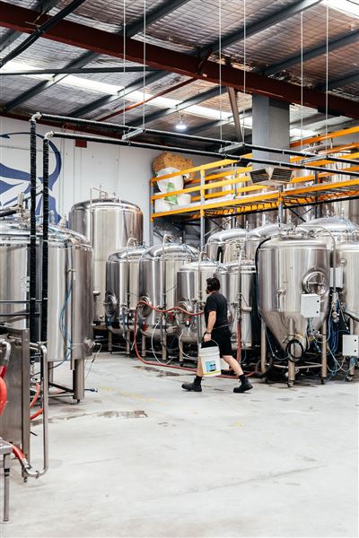 Limestone Coast Brewery (1/05/2026 - Credits: Limestone Coast Malaga)