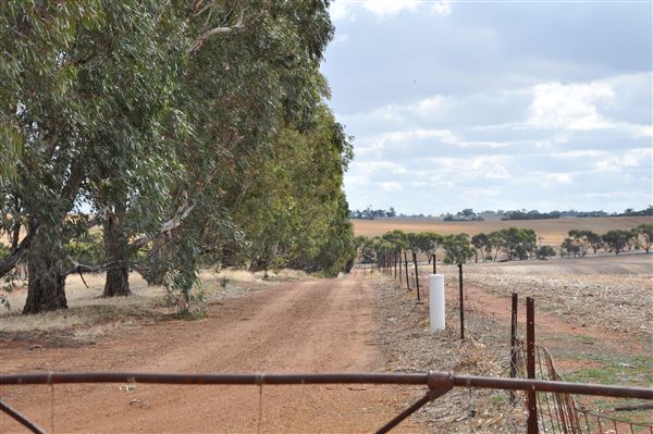 The Hamptons Farm Estate - Photos from Location Survey in April 2026 (24/04/2026 - Credits: Chris Veerhuis)