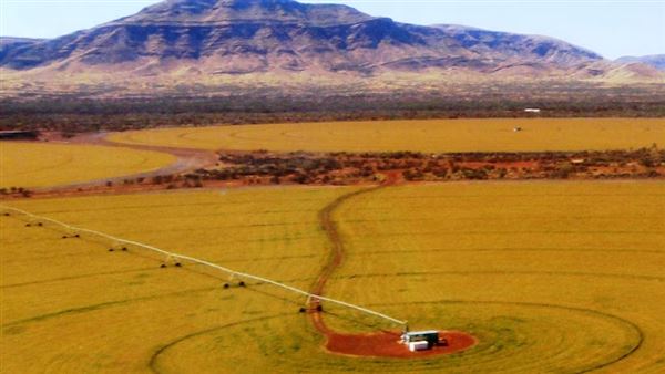 Pilbara Region (17/06/2026)